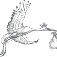 Audubon Fertility logo