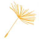 The Fertility Center of Oregon logo